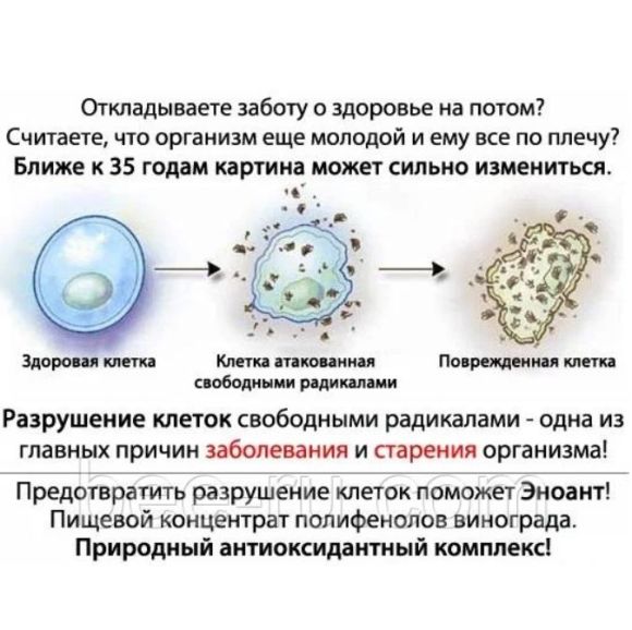 2 шт. Эноант - пищевой концентрат полифенолов винограда (250 мл, стекло). 2 шт. Эноант - пищевой концентрат полифенолов винограда (250 мл, стекло).